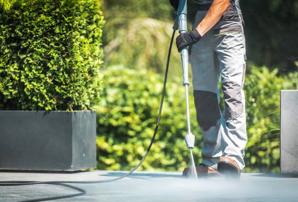 Best Gutter Cleaning  in Dranesville, VA